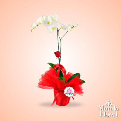 San valentin 20 - floreria miraflores Perfecta